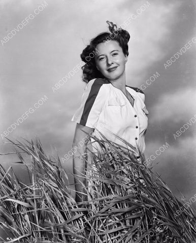 Barbara Stanwyck outdoors in the tall grass 8b20-3523