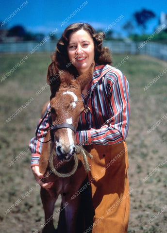 Barbara Stanwyck and new born horse 8b20-3595