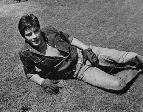 Alain Delon handsome lying in the grass 8b20-3632