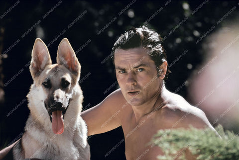 good lookin Alain Delon w his good looking German Shepherd dog 8b20-3642