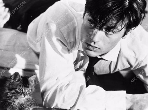 Alain Delon and a very alert kitty cat 8b20-3649