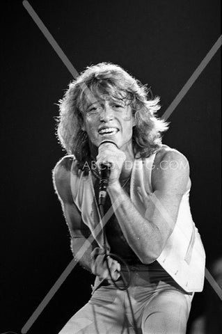 Andy Gibb live on stage 8b20-3784