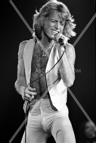 Andy Gibb live on stage 8b20-3791