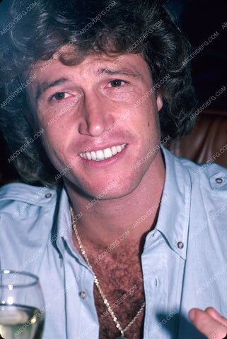 Andy Gibb portrait 8b20-3824