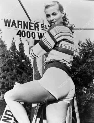 Anita Ekberg does some city engineering in Burbank Cal. 8b20-3999