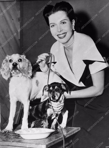 Ann Miller gets ready to walk the dogs dp-4119