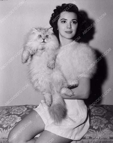 beautiful Ann Rutherford poses with her cat 8b20-4133