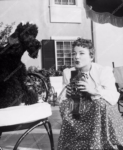 candid Anne Baxter breaks out the camera for her poodle dog 8b20-4179