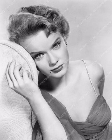 stunning Anne Francis portrait 8b20-4244