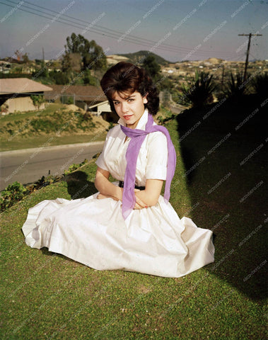 beautiful Annette Funicello outdoors portrait 8b20-4361