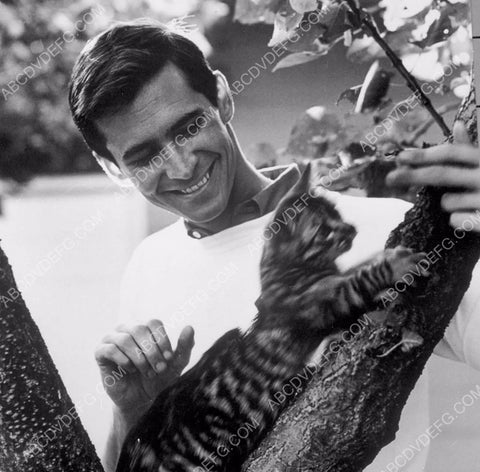 Anthony Perkins with his cat 8b20-4384