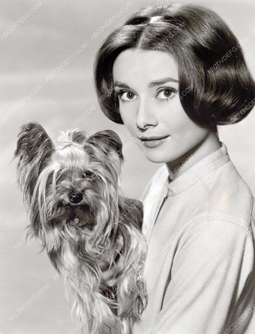 Audrey Hepburn poses with her dog 8b20-4547