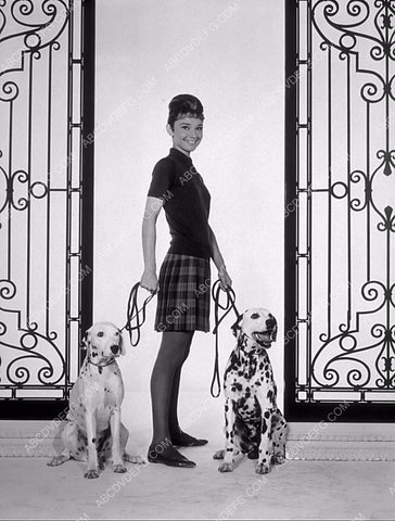 Audrey Hepburn and two dalmation dogs 8b20-4582