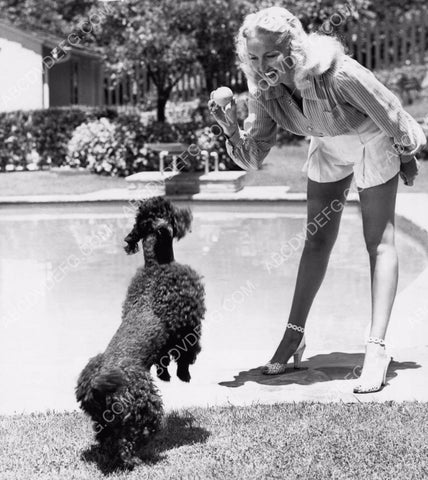 Betty Grable in backyard playing ball with her dog 8b20-4805