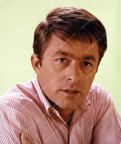 Bill Bixby portrait 8b20-4878