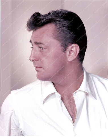 handsome Robert Mitchum portrait 8b20-4991