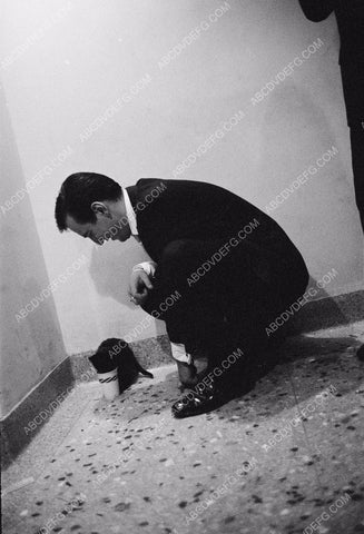 Bobby Darin feeds a stray cat 8b20-5053