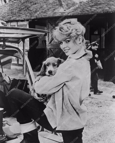 beautiful Brigitte Bardot and her dog 8b20-5296