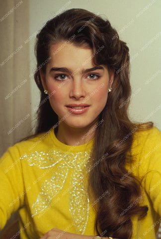 beautiful Brooke Shields portrait 8b20-5510