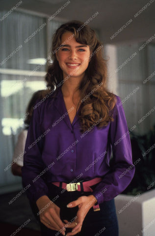 beautiful Brooke Shields portrait 8b20-5518