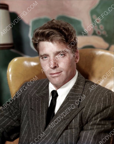 Burt Lancaster portrait 8b20-5569