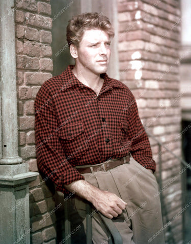 Burt Lancaster outdoors pic 8b20-5594