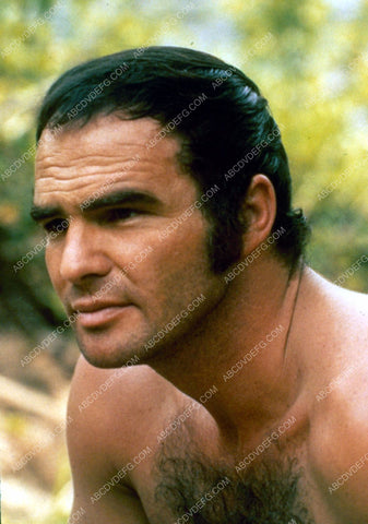 sex symbol Burt Reynolds pic 8b20-5615