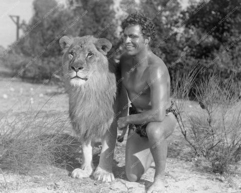 Buster Crabbe as Tarzan with a lion portrait 8b20-5628