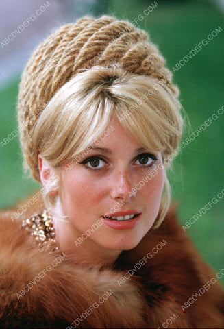 beautiful Catherine Deneuve portrait 8b20-6236