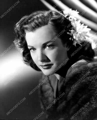 beautiful Cathy Down portrait 8b20-6319