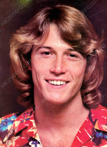 Andy Gibb pic 8b20-6547