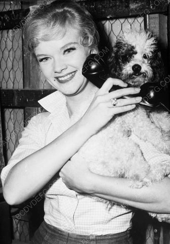 Anne Francis helps her dog field a telephone call 8b20-6680