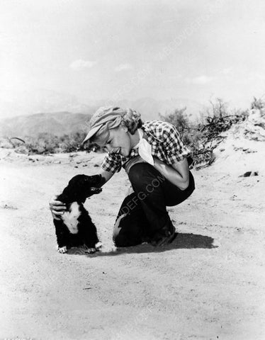 Anne Francis and a dog film Bad Day at Black Rock 8b20-6688