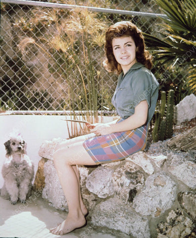 Annette Funicello outside with her dog 8b20-6754