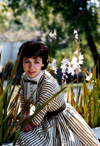 Annette Funicello outdoors portrait 8b20-6757