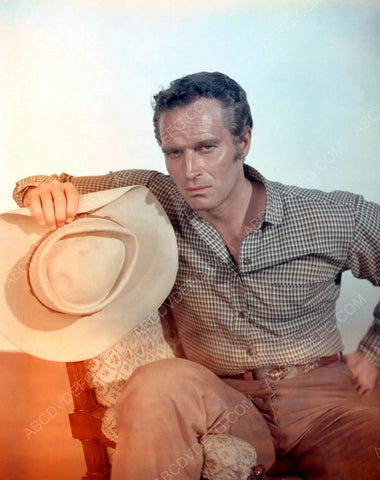 handsome Charlton Heston portrait 8b20-7012