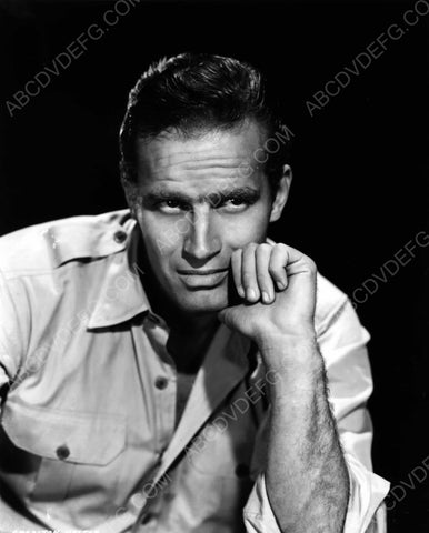 handsome Charlton Heston portrait 8b20-7036