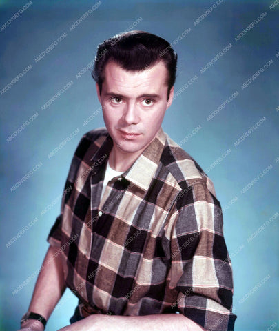 handsome Dirk Bogarde portrait 8b20-7858