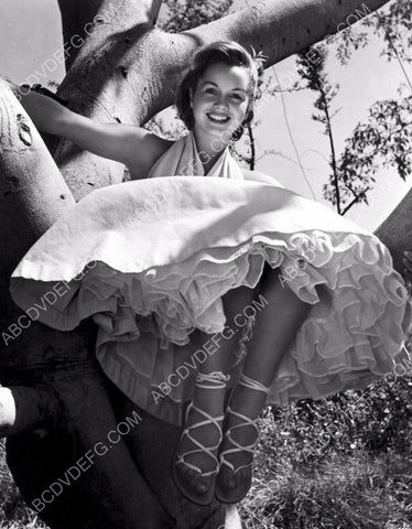 beautiful Debbie Reynolds sitting in a tree 8b20-8128