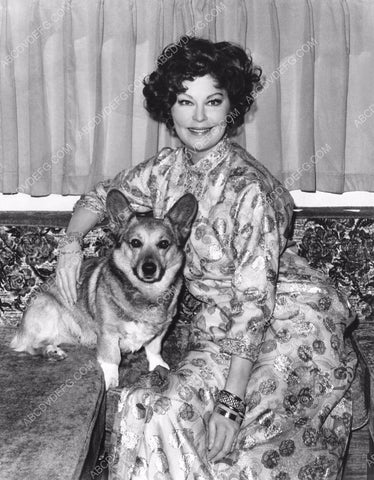 Ava Gardner and her dog on the couch 8b20-8501