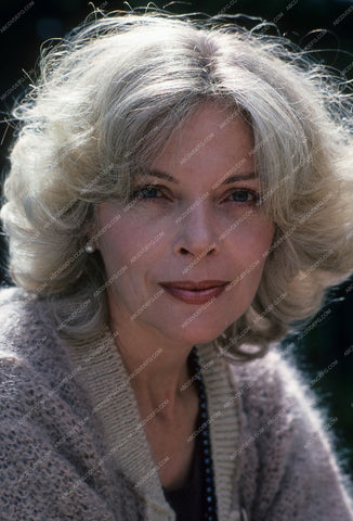 beautiful Barbara Bain portrait 8b20-8566