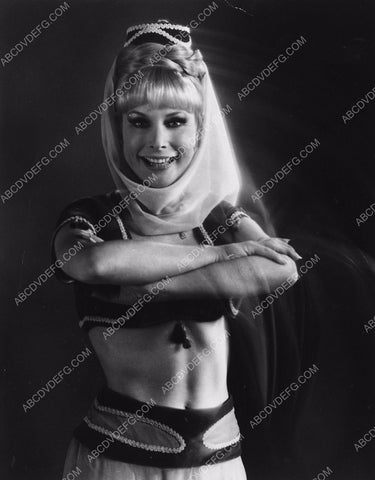 Barbara Eden TV I Dream of Jeannie dp-8593