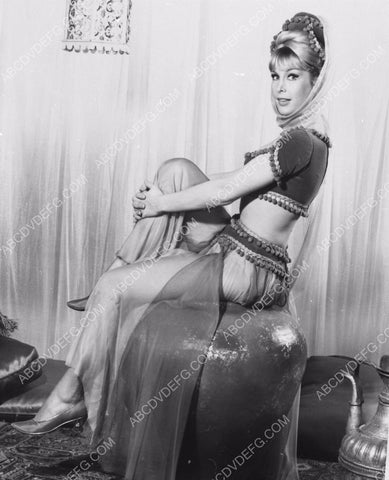 Barbara Eden TV I Dream of Jeannie dp-8596