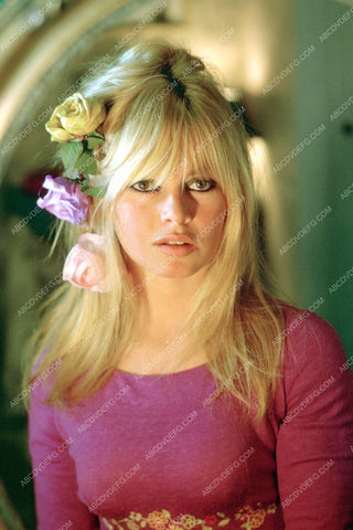 gorgeous Brigitte Bardot portrait 8b20-8645