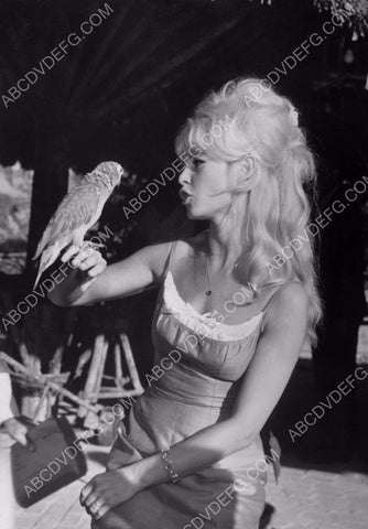 Brigitte Bardot talking to a parrot 8b20-8651