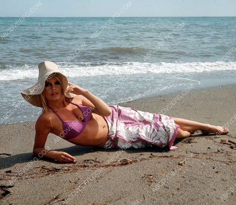 Brigitte Bardot laying on the beach 8b20-8652