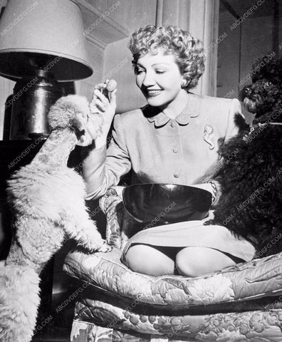 cute Claudette Colbert playing with her dogs 8b20-8867