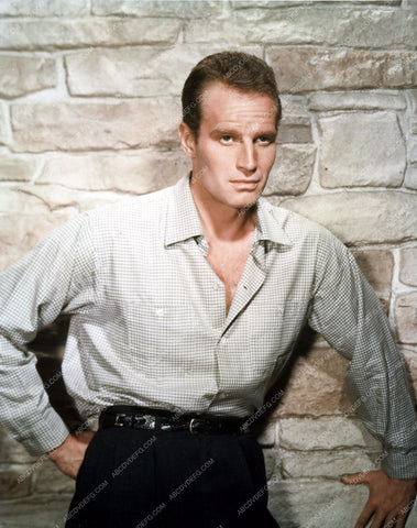 handsome Charlton Heston portrait 8b20-9053