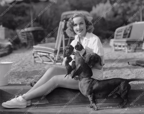 cute Carole Lombard with her dachshund dogs 8b20-9215