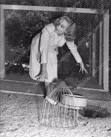 candid Carole Lombard feeding the animals 8b20-9248